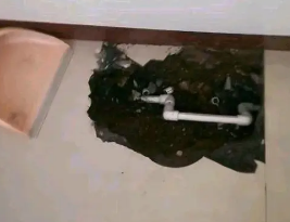 固安卫生间测漏水多少钱